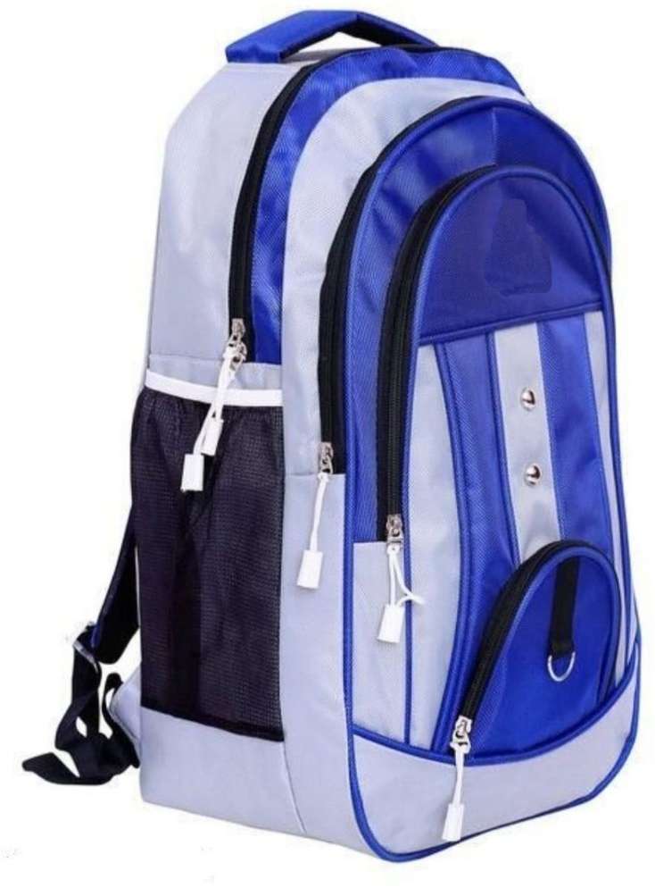 25l backpack for school college office backpack under 300 school