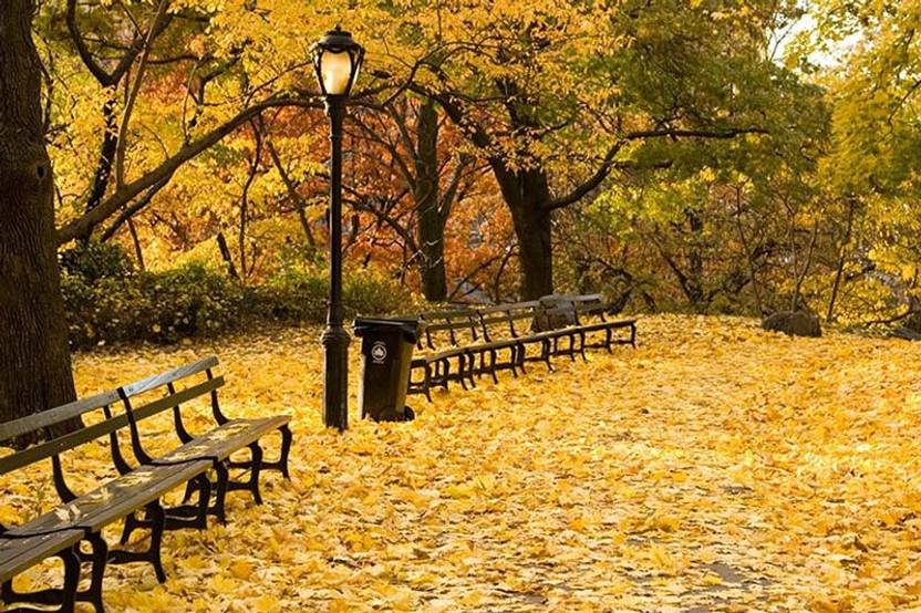 Poster Natural Scenery Poster Waterfall Forests, Trees, Sunset