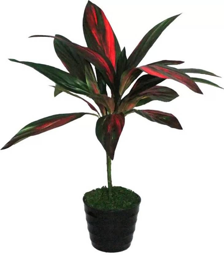 FOURWALLS Fourwalls Artificial Cordyline Plant with 2 Trunks (Red