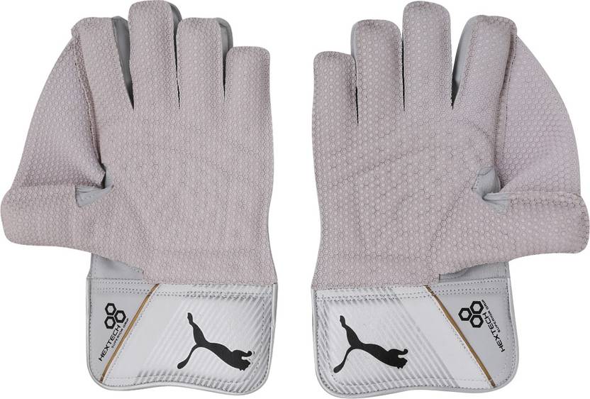 PUMA EVO SE Wicket Keeper glove Wicket Keeping Gloves Buy PUMA EVO SE