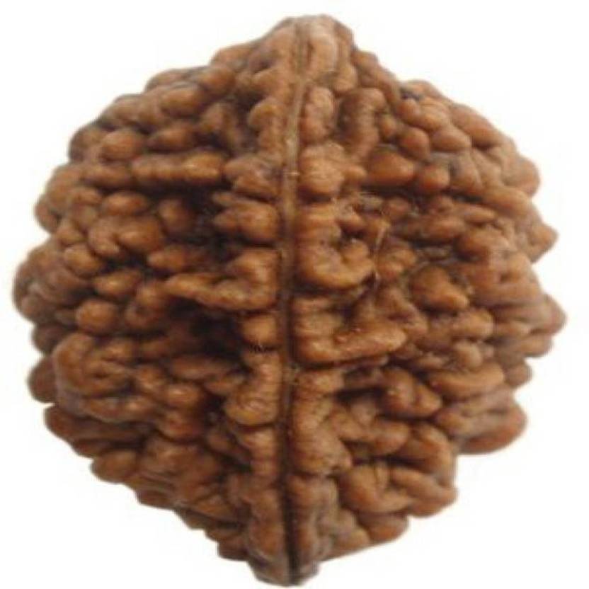 brahmgyan gallary rudrakash with silk dori best for relation,speaking skill etc Wood Pendant