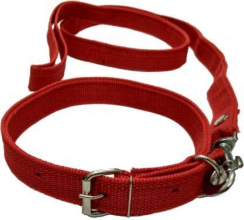 BODY BUILDING GOOD QUALITY 3/4 RED COLOR DOG BELT Dog Collar & Leash