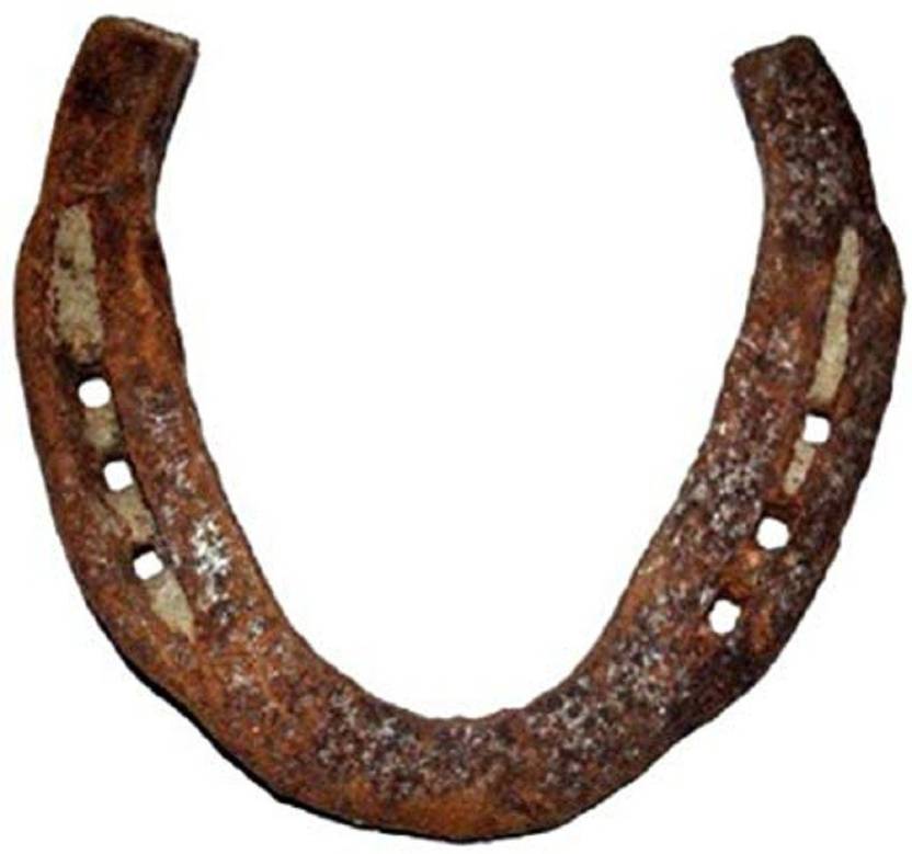 Himshikhar Black Horse Shoe Ghode ki Naal Iron Yantra