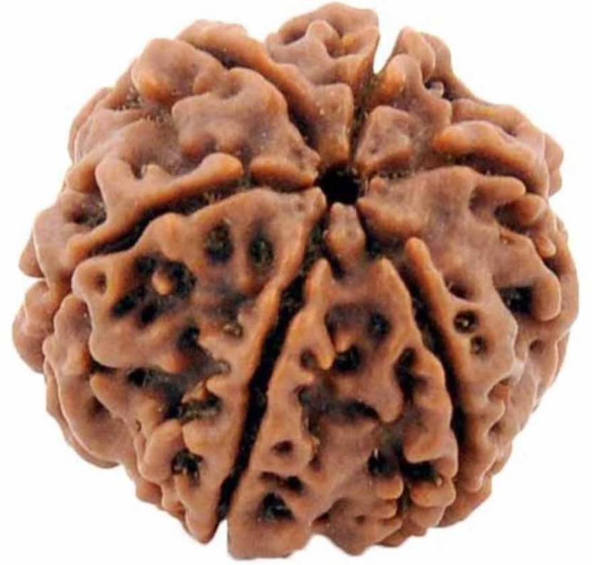 shahinpearlmart 6 Mukhi Rudraksha Six face Wood Pendant