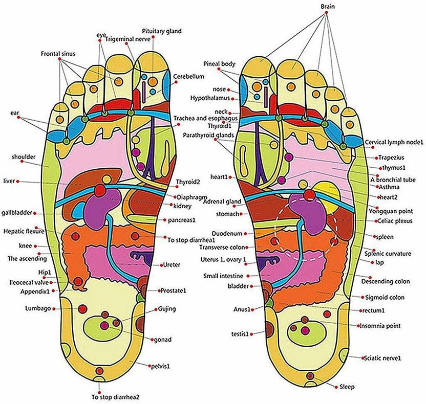 Singh Brothers Acupressure Slippers - Image 6