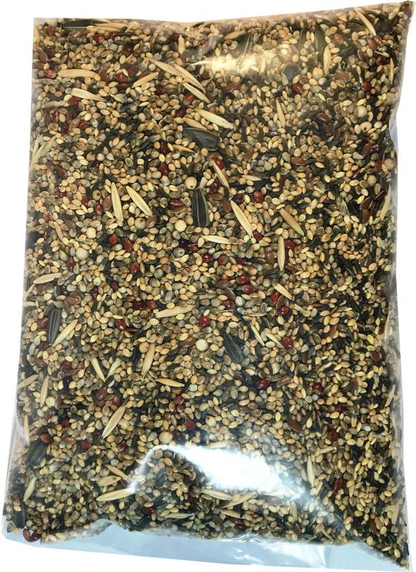 Foodies Puppies primium Mixed Seed for Cockatiel,Budgies,Lovebird & Small Birds 500gm Nuts 0.5 kg Dry ...