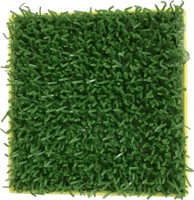 Asian Paints Royale Yarn Royale Play Yarn Paint Roller Price in India