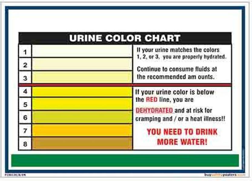 Am I Hydrated Poster? In English PVC Sticker A4 (8