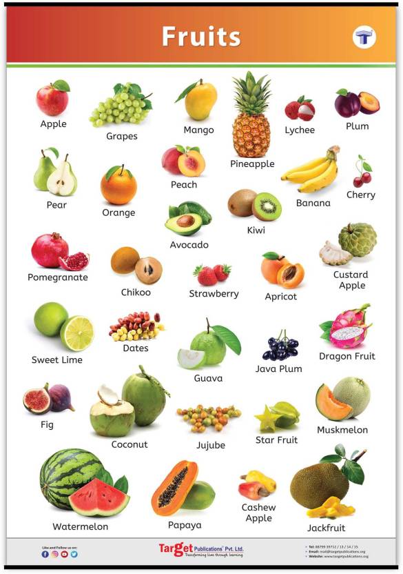 Target Publications All in One Fruits Chart for Kids | Early Learning ...