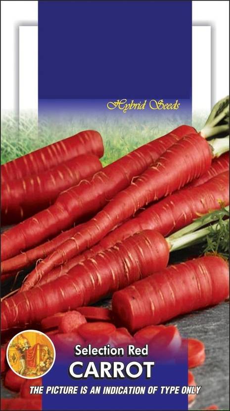 ActrovaX Carrot Sel Red [1000 Seeds] Seed
