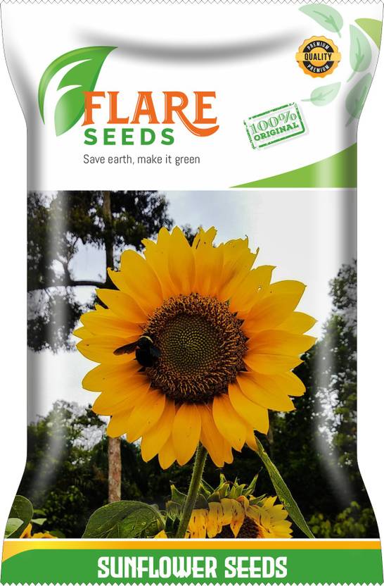FLARE SEEDS Yellow Sunflower Seed Price in India Buy FLARE SEEDS