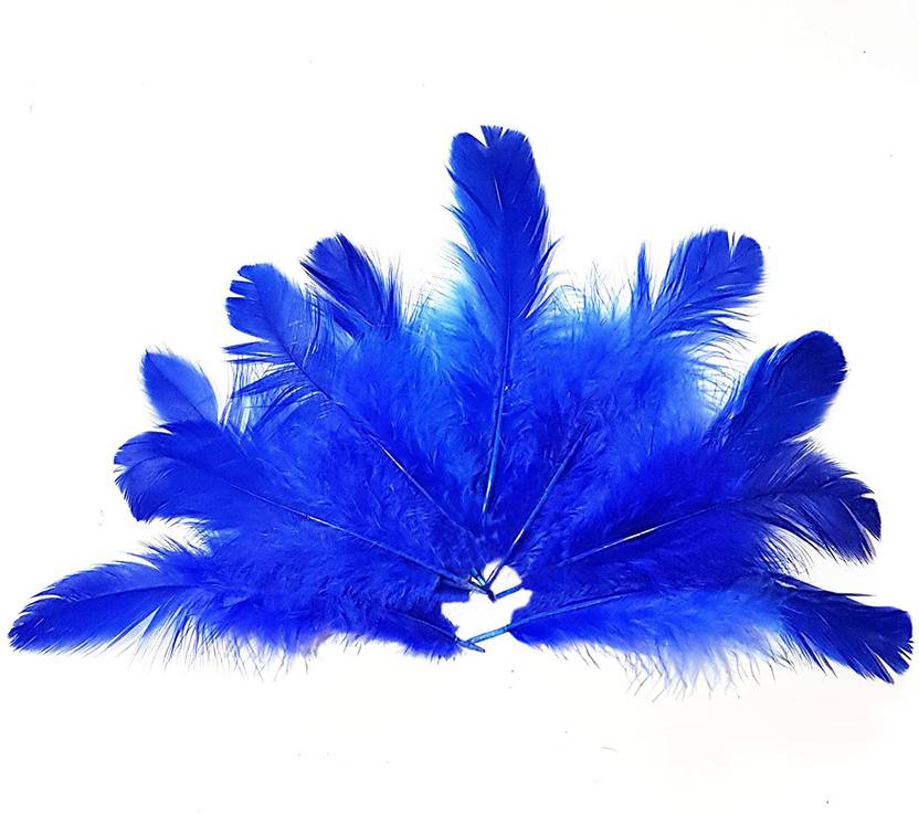 Adhvik Natural Dyed Blue Multi-Purpose Craft Feathers (Approximately 80pc) for Dream Catcher Artificial Jewelry Making Art & Craftworks Decorations Diy Hobby Crafts Kids Projectworks Scrapbooking