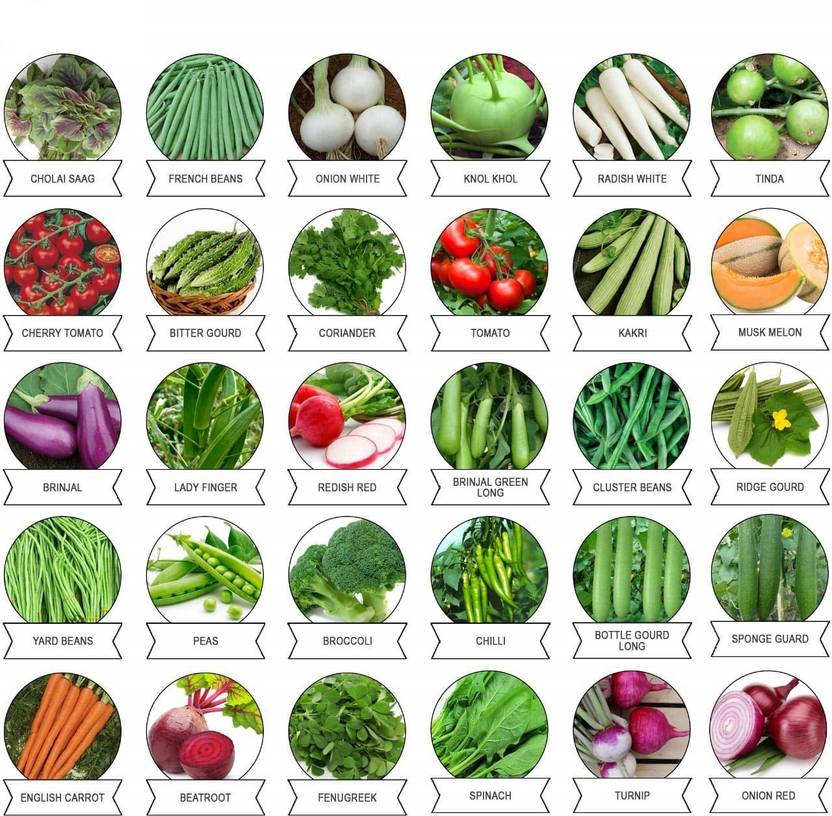 CYBEXIS 30 Varieties of Vegetable Seeds Exotic Vegetable Heirloom