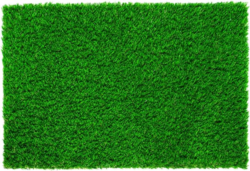 Coirgarden Artificial Grass Floor Mat Buy Coirgarden Artificial Grass