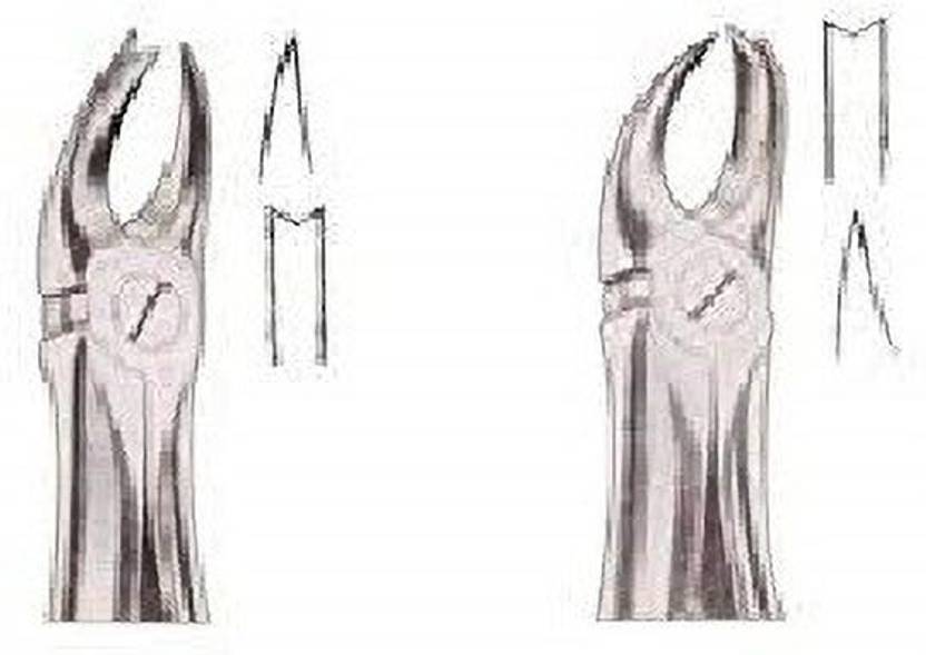 gplus Maxillary Dental Extraction Cowhorn Forceps Left & Right Tying