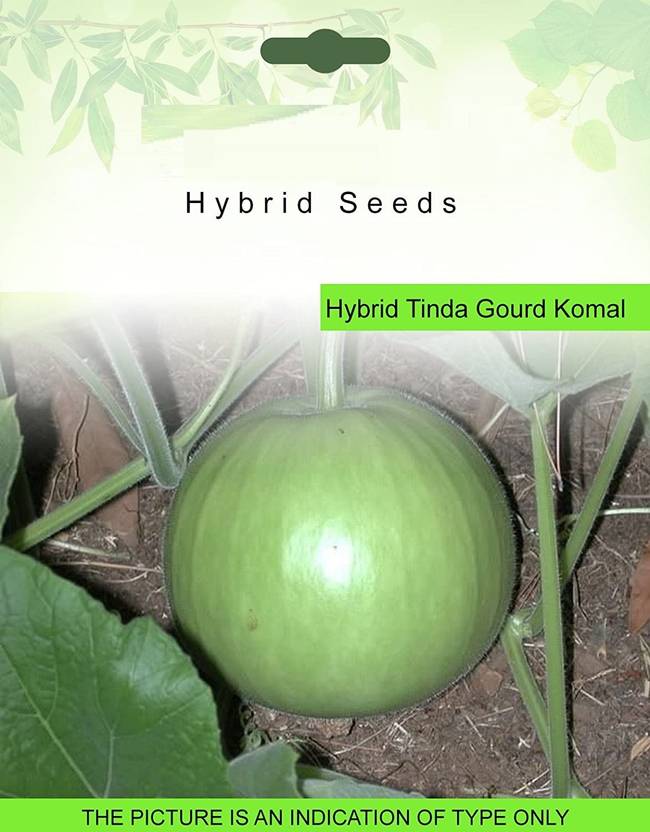 Biosnyg Bottle Gourd (Lauki/Lau/Clabash) Seeds - Hybrid F1 Sarita 5gm Seeds Seed
