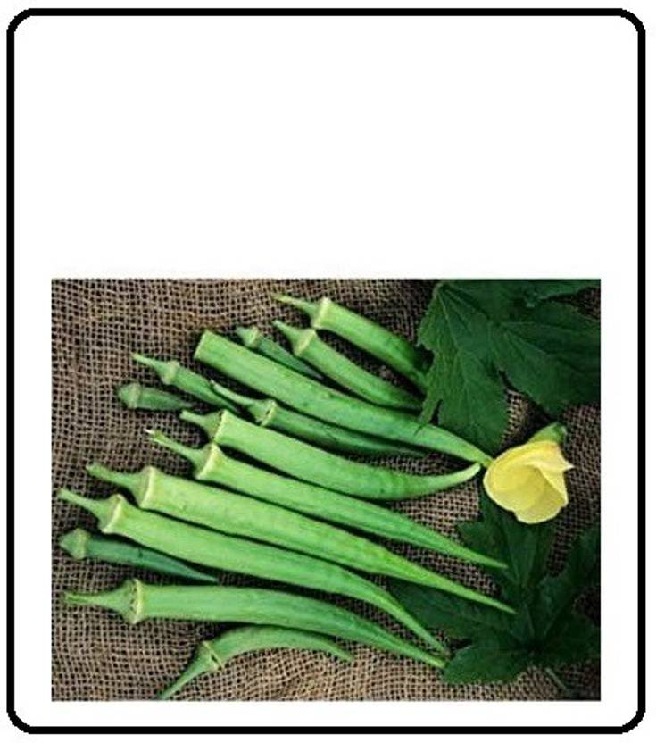 Biosnyg F1 Hybrid Long Pod Okra Seeds 50 x Seeds 200 Seeds Seed Price