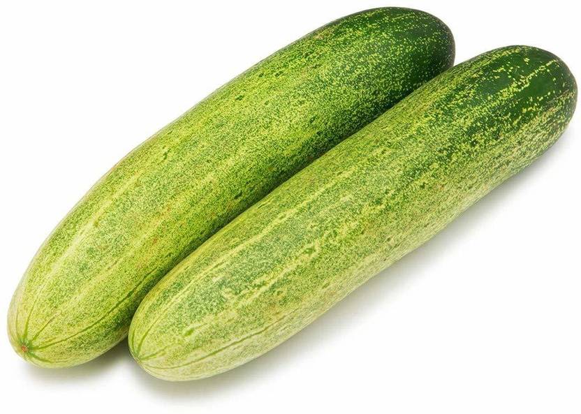 Biosnyg High Yield Rare Salad Cucumber Vegetable Seeds 5gm Seeds Seed