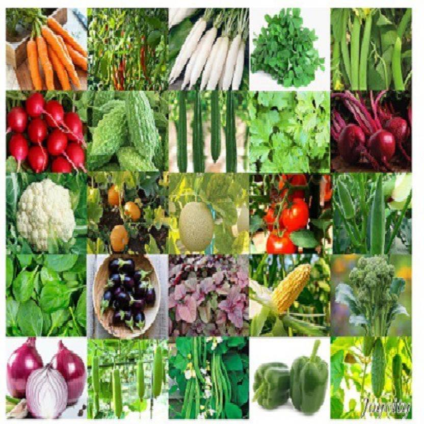 ALPINE HYBRID SEEDS Natural MIX VEGETBLE SEEDS ( pack of 50) Seed