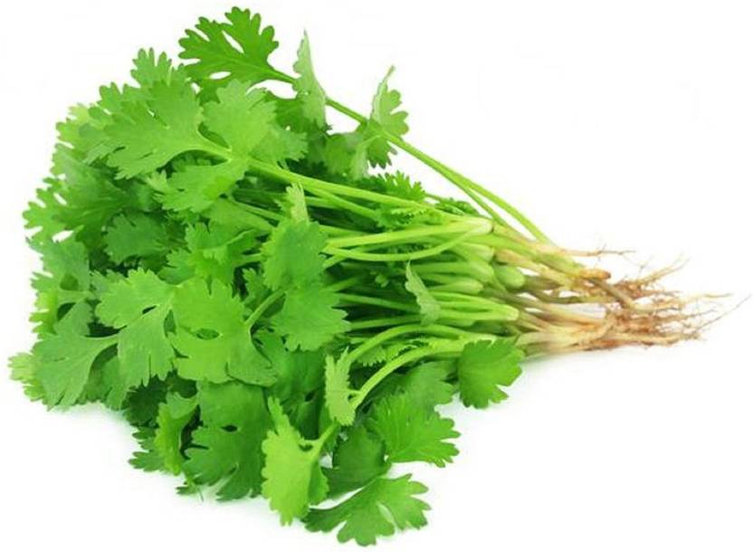 ORETIC Coriander Green Seed Price in India Buy ORETIC Coriander Green