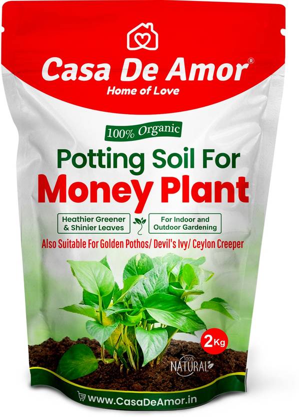 Casa De Amor Potting Soil for Money Plant, Golden Pothos, Devil's Ivy