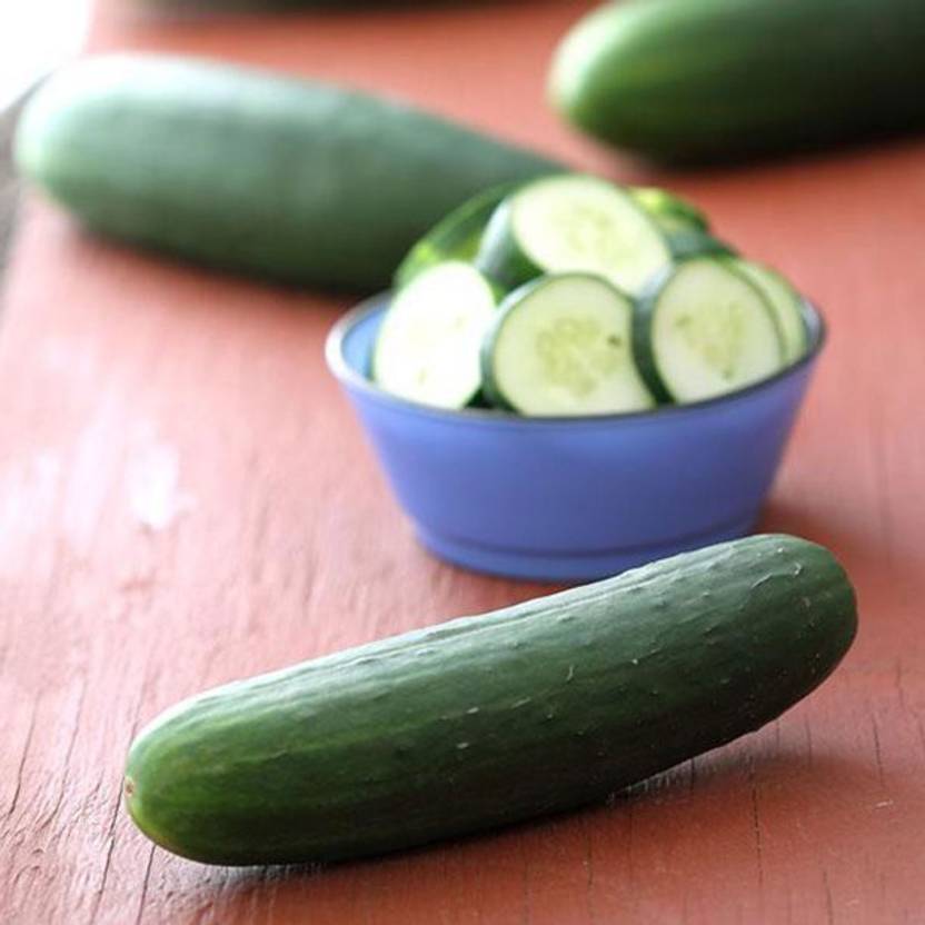 WHYGI Cucumber Dasher II F1 SeedCuC_204 Seed Price in India Buy