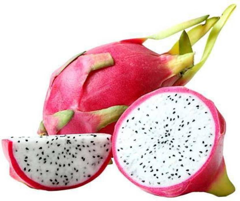 Paudha Dragon Fruit Hybrid Seed Price in India Buy Paudha Dragon