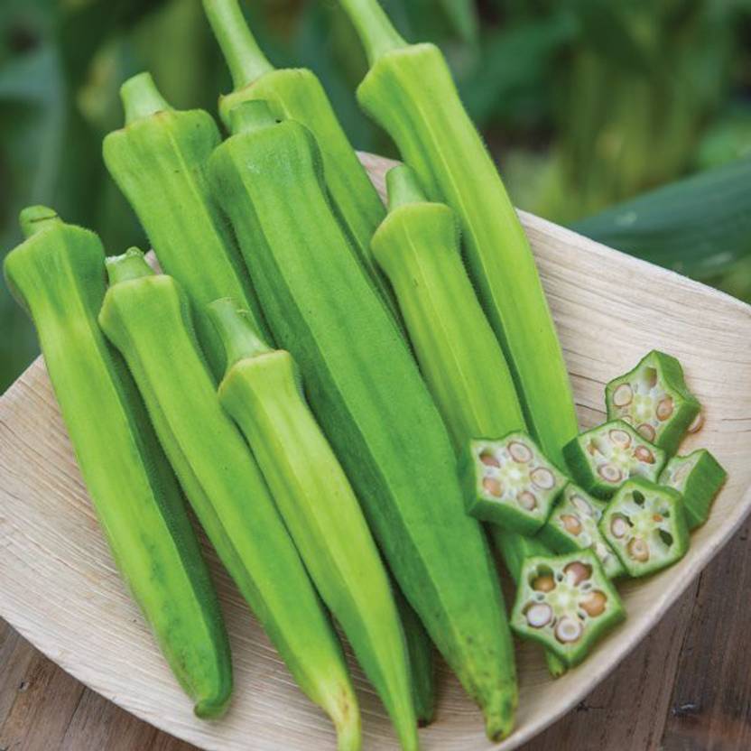 KLARKEE Z1141_R_Baby Bubba Hybrid Okra Vegetable Seed Seed Price in