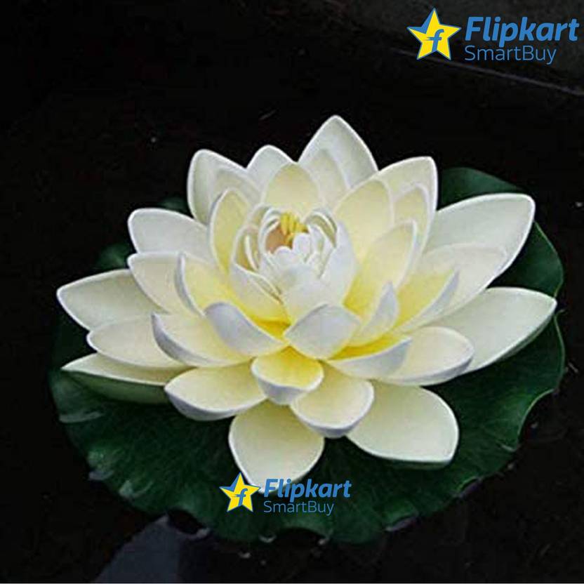 Flipkart SmartBuy Artificial Lotus Flower For Home Decoration And