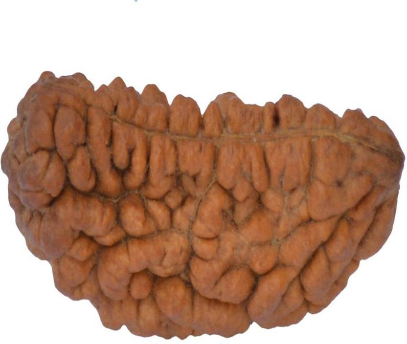 brahmgyan gallary Ek mukhi original and 100% effective rudrkash bead with lab test certificate Wood Pendant