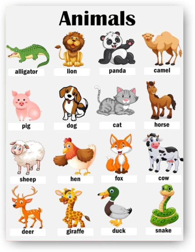 Animal Names Chart Kids learning | Poster for Kids Learning ...