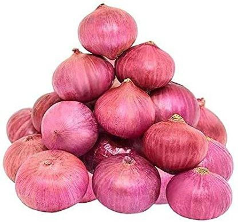 WILLVINE PUSA1514 Onion Seeds Peeli Patti (Light Red)1500 Seeds Seed