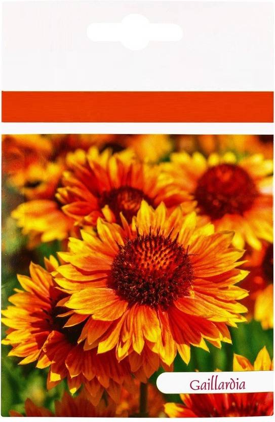 CYBEXIS Gaillardia Dwarf Goblin Flower Seed Seed Price in India Buy