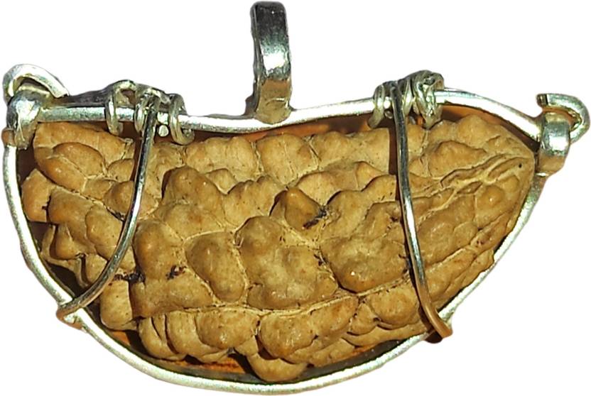 Shree Shankham Ek Mukhi Rudraksha Bead Original Certified Mother Of shree-shankham-ek-mukhi-rudraksha-bead-original-certified-mother-of