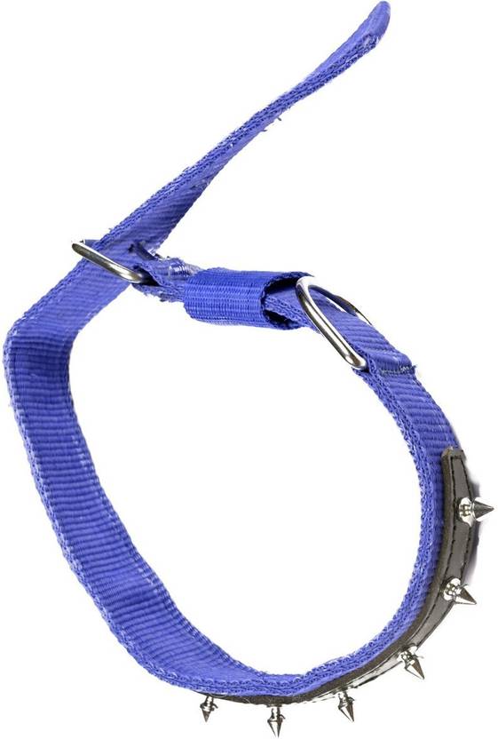 TommyChew Lethal Dog Everyday Collar
