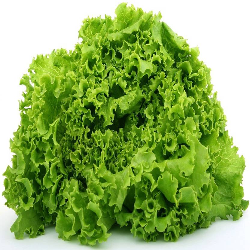 Biocarve Lettuce Seed
