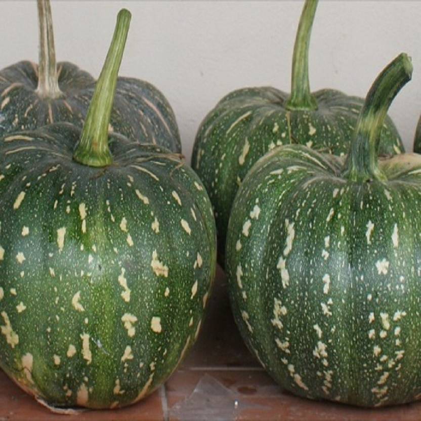 Biocarve Pumpkin Seed