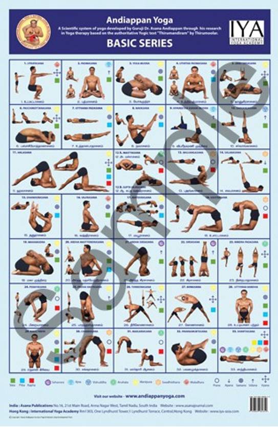 Ashtanga Yoga Wall Chart Basic Series Fine Art Print Dr. Asana