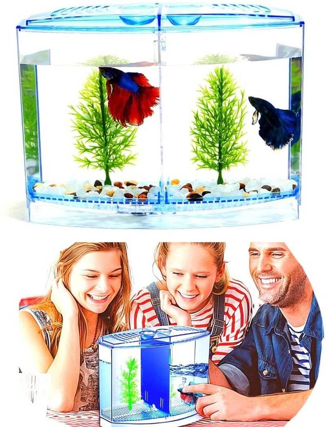 VAYINATO Acrylic Mini Betta Fighter Partition Fish Tank with Plant