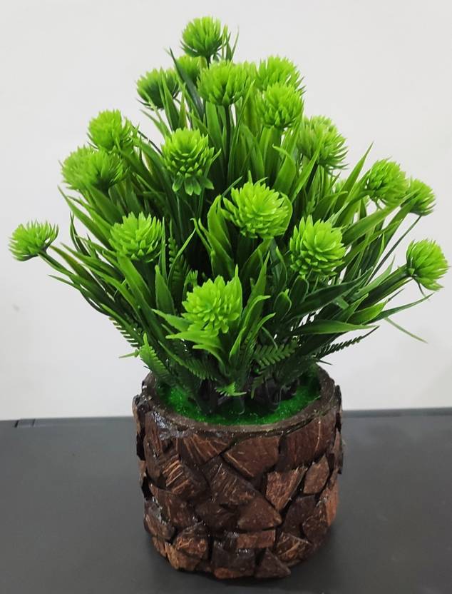 BAARIG Natural Looking Bonsai Wild Artificial Plant with Pot