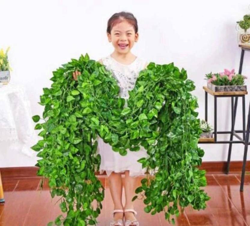Bloomverra Artificial 3 Money Plant Creeper (Pack of 3) For Home Decoration Artificial Plant