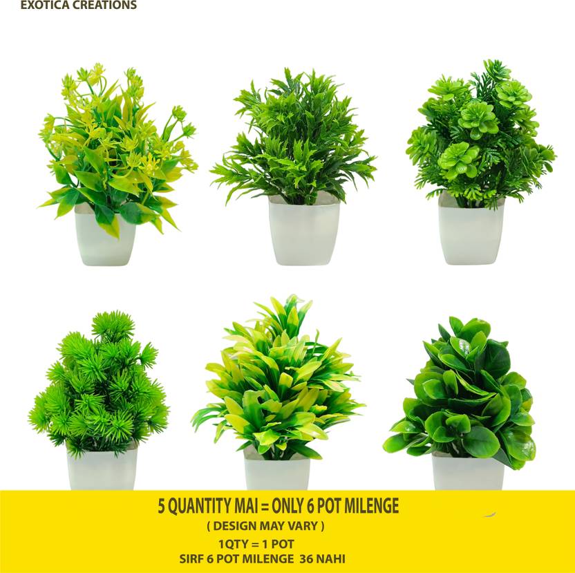 Exotica Creations Exotica Creations Bhutta Filleri green Colour Flower With Square Pott Bonsai Wild Artificial Plant  with Pot