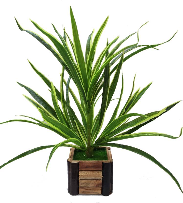 BAARIG 4 Branches (40 Leaves) Spider Plant with Stylish Wooden Pot Artificial Plant with Pot