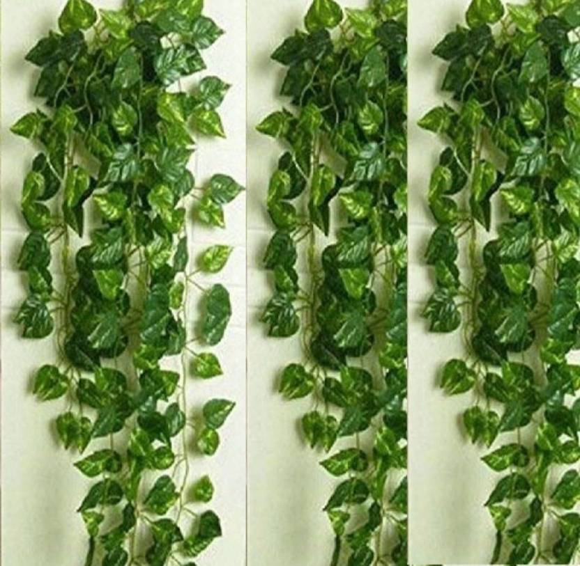 Bloomverra 8ft Set of 3 Artificial Money Plant Vine,For|Home|Office|Garden|Decoration Artificial Plant