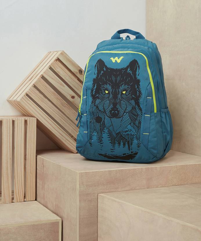 Large 43 L Laptop Backpack Daredevil (Blue) deal from flipkart