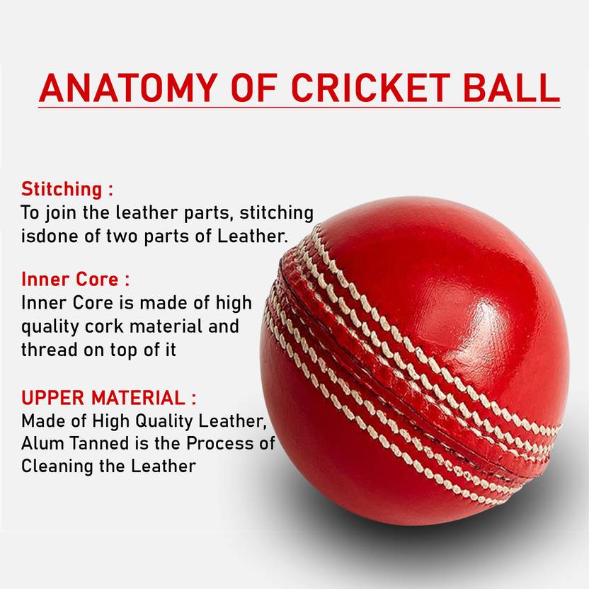 Gabbar ™4 Piece Construction Panel Red White Cricket Leather ball