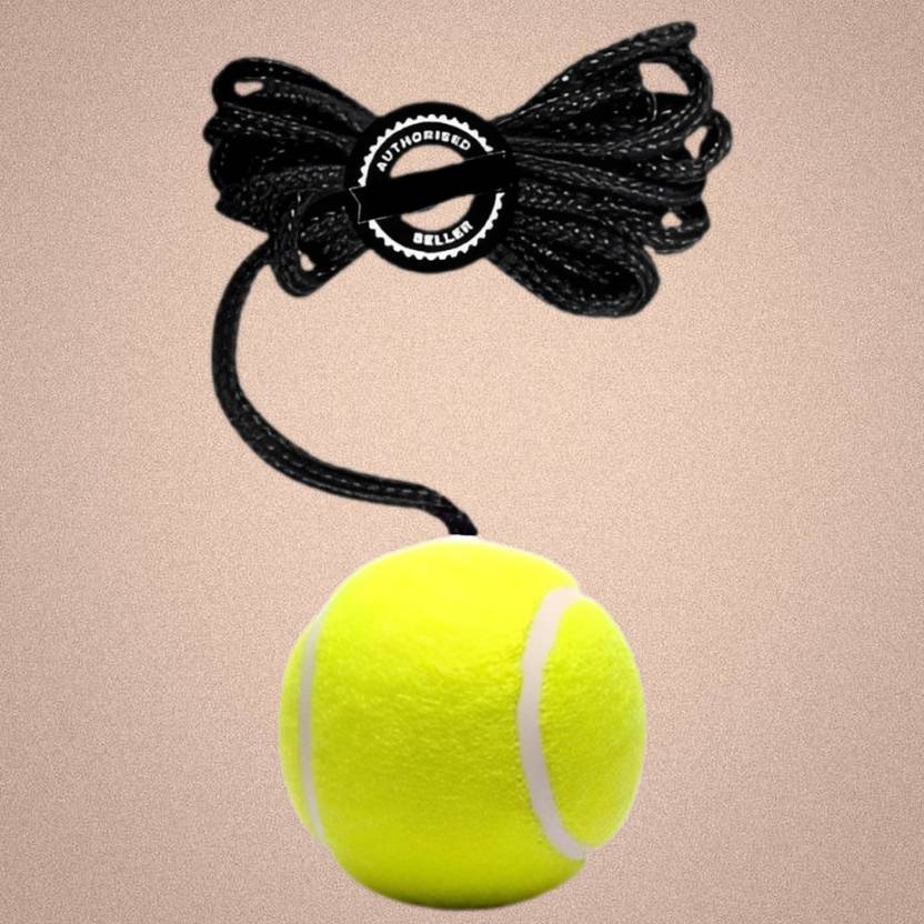 ASEBHARI Batting Practice Ball Rope Trainer for Cricket Skill Practice Cricket Training Ball