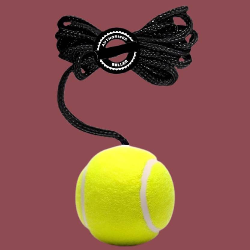 ASEBHARI Cricket Batting Rope Hanging Ball for Daily Training Cricket Training Ball