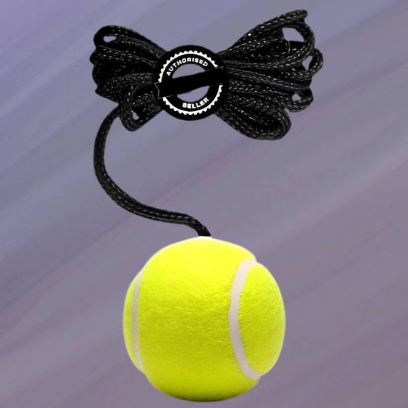 ASEBHARI Cricket Training Ball Hanging Trainer for Batting Practice Cricket Training Ball