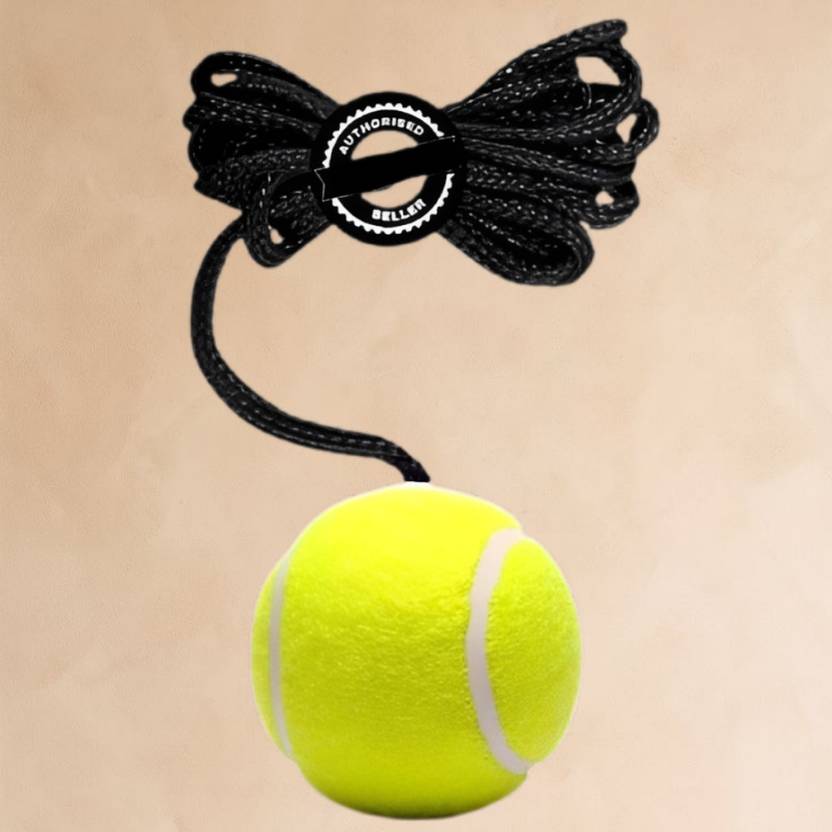 ASEBHARI Cricket Batting Practice Hanging Trainer Ball for Reflex Cricket Training Ball